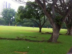 -东海岸人工湖美食村