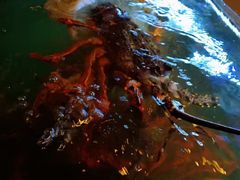 -同乐酒楼(皇后镇店)