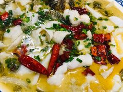 -新兴·金羊座·粤菜点心(乐峰店)