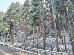 -鼓岭旅游度假区