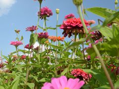 -长春世界雕塑园冰雪艺术天地