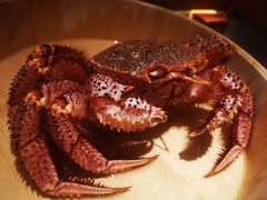 -蟹田居·活蟹料理(东城店)