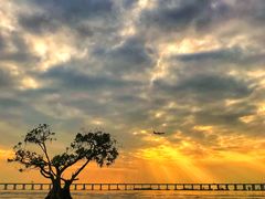 -宝安西湾红树林湿地公园