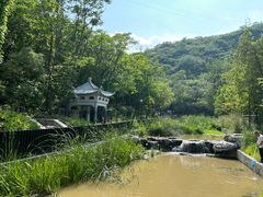 -白水寺森林公园