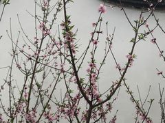 -乌山风景区