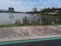 -琅岐红光湖公园