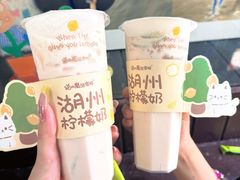 -猫的魔法密林(衣裳街店)