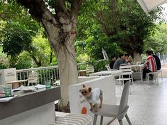 -ADO KAFE(大学城店)