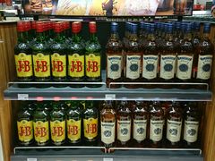-谢列梅捷沃国际机场
