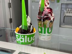-Salud撒露欧洲冻酸奶(798艺术区店)