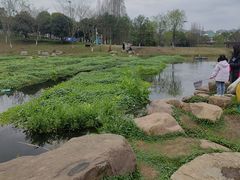 -洋湖国家湿地公园