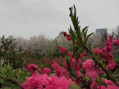 -白塘生态植物园