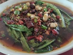 热拌莴笋-清泉馆(望江路店)