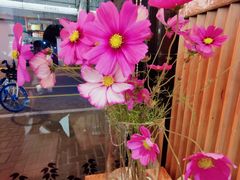 -Dal Cuore 达可芮冰淇淋(陕西北路店)