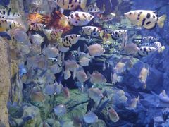 -成都浩海立方海洋公园