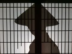 -Mr.Fox狐狸先生超级密室(南山店)