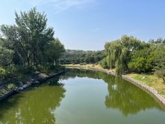 -大兴滨河森林公园