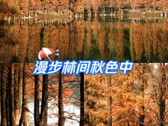 -三水森林公园
