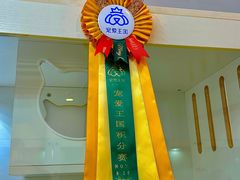 -青奢宠物·青奢猫舍