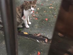 -晓港公园