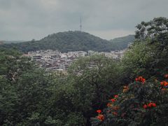 -佛山华盖山公园