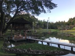 -四季酒店下午茶