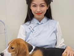 -有喵·猫咖·狗咖·30几只猫10只小狗(岗厦店)