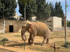 -石家庄市动物园