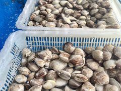 -前王院•巧克力海鲜市集餐厅(万平口店)