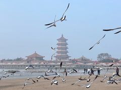 -长岛南北长山旅游景区