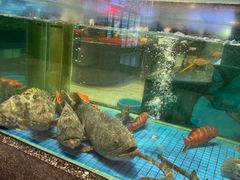 -聚福宝合苑食府(南头镇店)