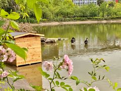 -西南政法大学(渝北校区)
