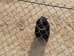 -石家庄市动物园