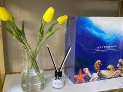 -凡碧诗毛孔清洁收细