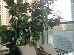 -椰子不语 椰子鸡火锅(淮海店)