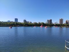 -莲花池公园