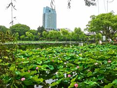 -无锡蠡湖国家湿地公园-蠡园