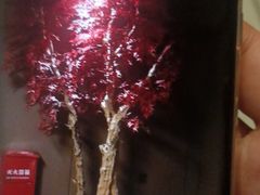-仟汇足道·SPA(秀洲总店)