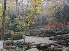 -赭山公园
