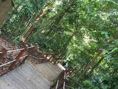 -武吉知马自然保护区