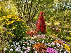 -上海共青森林公园