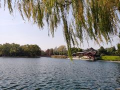 -百脉泉景区