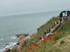 -燕儿岛山公园
