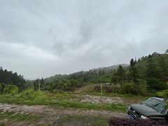 -庐山碧龙潭风景区