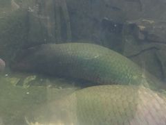 -青青世界