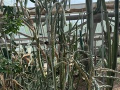 -南山植物园