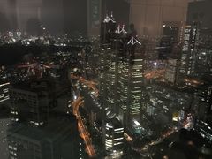 -东京都厅舍