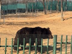 -秦皇岛野生动物园