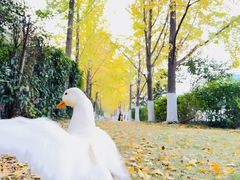 -金陵图书馆