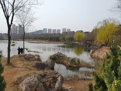 -前关湿地公园